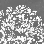 NANLUX ASGBASET2 NL MOUNT PROJECTION ATTACHMENT GOBO SET 2