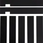 GUTEK T300 PROTECTOR CASE DIVIDER KIT