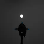 NANLITE PJFZ6036 PROIETTORE PER FORZA60/60B CON LENTE 36G