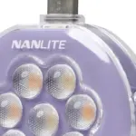 Cookie Mini Light Lavender