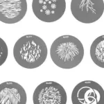 Set di gobo per PJBM SET2 10pz