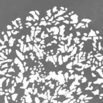 Set di gobo per PJBM SET2 10pz