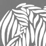 Set di gobo per Proiettore NL SET2 10pz