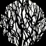 Set GOBO 2 per proiettore PJFZ60